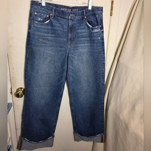 American Eagle Outfitters Women's Size 16 Long Stovepipe Blue Jeans
